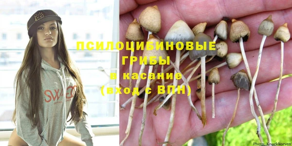 твердый Абинск