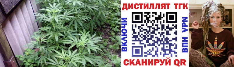 где продают наркотики  Тбилисская  ТГК Wax 