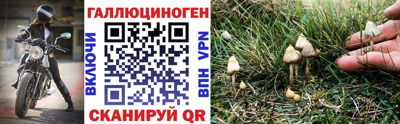 Галлюциногенные грибы GOLDEN TEACHER  Тбилисская 